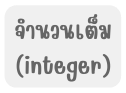 จำนวนเต ม integer